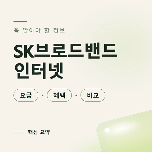 SK브로드밴드 인터넷