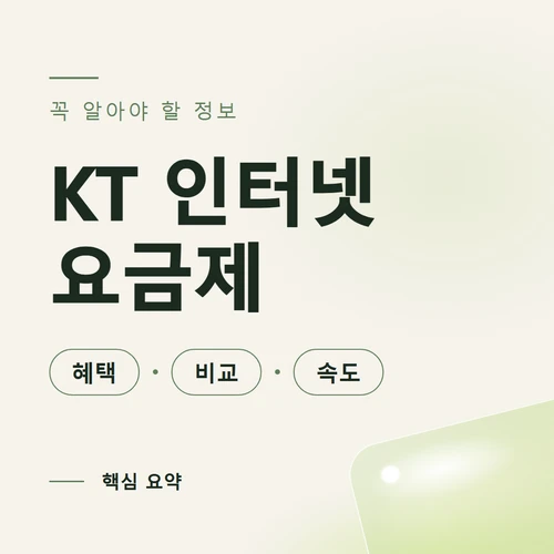 KT 인터넷 요금제